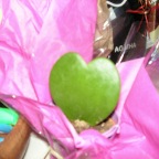 super soirée cactus chez Ericus le 19-01-2010 048